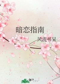 暗恋指南by风流书呆